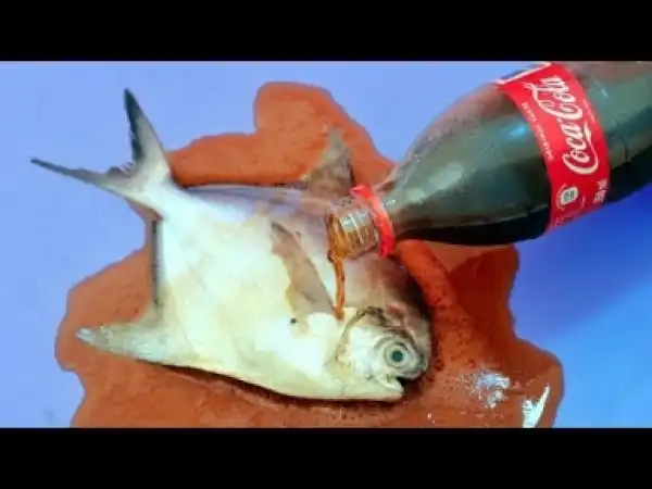 Video: 6 Awesome Kitchen Life Hacks